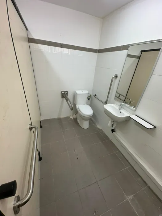 ידית אחיזה L, ידית מתרוממת לקיר מנירוסטה, מראה ומדף מטרספה